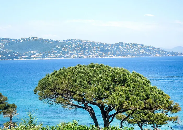 La Baiassiere By Interhome Sainte-Maxime